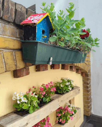 01.07.2025 Blumen Pflanzen Haus Grünberger