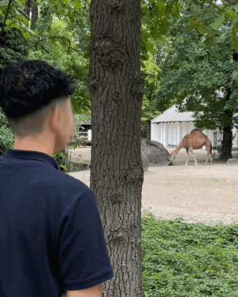 22.08.2025 Ausflug Zoo Berlin (Haus Wilmersdorfer)