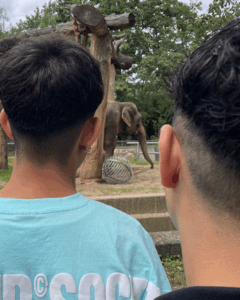 22.08.2025 Ausflug Zoo Berlin (Haus Wilmersdorfer) 22.08.2025 Ausflug Zoo Berlin (Haus Wilmersdorfer)