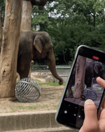 22.08.2025 Ausflug Zoo Berlin (Haus Wilmersdorfer) 22.08.2025 Ausflug Zoo Berlin (Haus Wilmersdorfer)