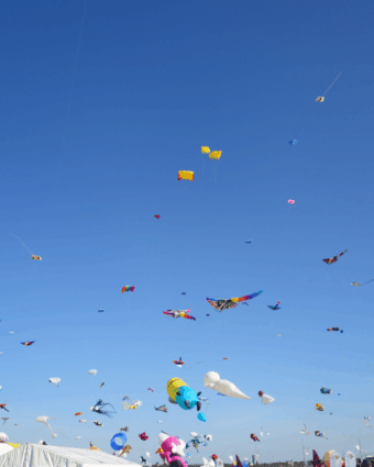 27.09.2025 Drachenfest Flughafen Tempelhof Haus Wilmersdorf 27.09.2025 Drachenfest Flughafen Tempelhof Haus Wilmersdorf