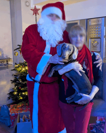 Haus Friederike Weihnachten 2025 Haus Friederike Weihnachten 2025