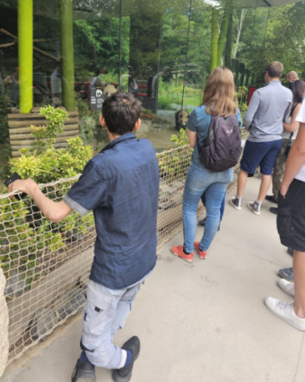 07.08.2026 Zoobesuch Haus Wilmersdorf