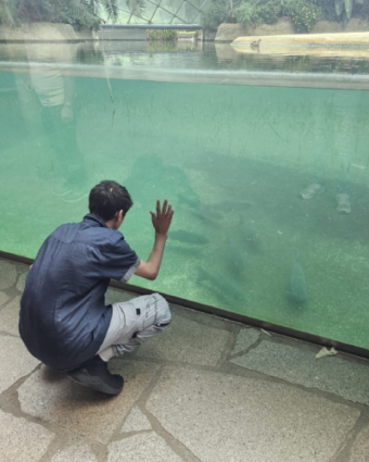 07.08.2026 Zoobesuch Haus Wilmersdorf
