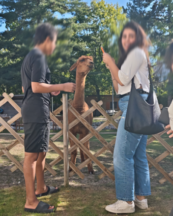 12.08.2026 Tierpark
