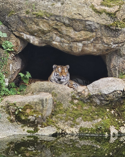 07.08.2026 Zoobesuch Haus Wilmersdorf